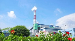 Sôi nổi các hoạt động chào mừng kỷ niệm 15 năm thành lập Đảng bộ Tập đoàn Điện lực Việt Nam 