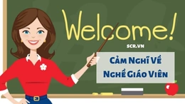 Đừng làm tổn thương nghề cao quý