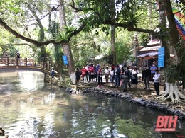 Doanh nghiệp lữ hành “vào mùa” tour du xuân