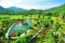 Săn ngàn ảnh đẹp tại Khu tham quan điện mặt trời An Hảo