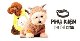 Top lưu ý kinh doanh đồ thú cưng và các nguồn hàng tham khảo