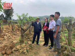 “Cánh tay nối dài