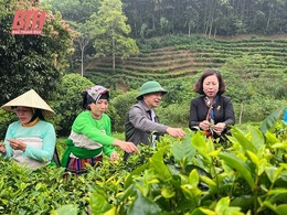 Các cấp hội nông dân ứng dụng chuyển đổi số vào sản xuất
