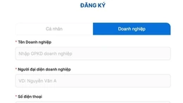 Đặt lịch đăng kiểm trực tuyến riêng cho doanh nghiệp vận tải