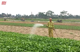 Toàn tỉnh có hơn 18.095  ha  cây trồng  nguy cơ  thiếu nước, ảnh hưởng năng suất