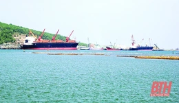 Chương trình hành động của Chính phủ thực hiện nghị quyết của Quốc hội về Quy hoạch tổng thể quốc gia