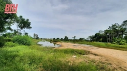 Mua đất trúng đấu giá gần 10 năm vẫn chưa thể xây nhà?