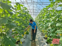 Hỗ trợ phụ nữ khởi nghiệp - nhìn từ Đề án 939 (Bài 2): Câu chuyện về những mô hình