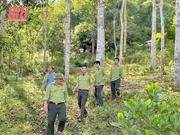 Thường Xuân: Tăng cường các giải pháp giữ vững an ninh rừng