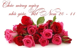 Chúc mừng ngày Nhà giáo Việt Nam (20/11)