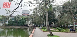 Bâng khuâng ngày cuối năm...
