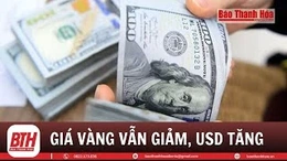 Bản tin tài chính sáng 19/1/2024: Giá vàng chưa thể đảo chiều
