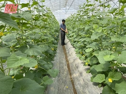 Kỹ sư về quê xây dựng thành công 2 sản phẩm OCOP