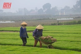 Yên Định chuẩn bị các điều kiện sản xuất vụ xuân