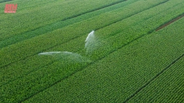 Bay trên cánh đồng 18 tỷ