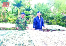 Một nền tảng quan trọng của nền kinh tế