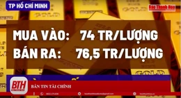 Bản tin tài chính sáng 26/1: Giá vàng đi ngang, USD hồi phục