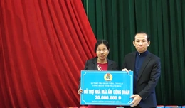 Như Xuân: Ấm áp “Tết sum vầy - Xuân chia sẻ” năm 2024
