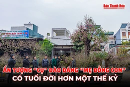 Ấn tượng “cụ” đào dáng “mẹ bồng con” có tuổi đời hơn một thế kỷ tại Thanh Hóa
