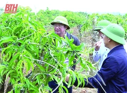 Triệu Sơn từng ngày đổi mới