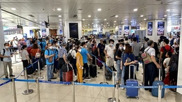 Cục Hàng không yêu cầu các hãng bay báo cáo giá vé cao, khó mua sau Tết