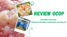 [REVIEW OCOP] Sứa biển Thảo Linh - Món ăn tươi ngon, thanh mát