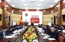 Phiên họp UBND tỉnh tháng 3/2024: Thảo luận, cho ý kiến vào một số tờ trình về phương án, kế hoạch thực hiện mục tiêu phát triển kinh tế - xã hội