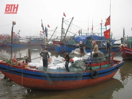 Cho những chuyến cá đầy