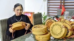 Nữ giám đốc HTX tạo việc làm cho hàng trăm lao động