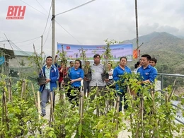 Tháng Thanh niên 2024: Thanh niên xung kích tình nguyện vì cuộc sống cộng đồng