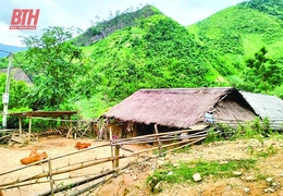 Vệt buồn phân ly