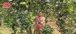 Trưởng thôn gương mẫu, tâm huyết với công việc tập thể