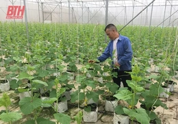 Hội Nông dân Quảng Xương thi đua sản xuất, kinh doanh giỏi gắn với XDNTM