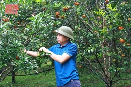 Chương trình Mục tiêu quốc gia phát triển kinh tế - xã hội vùng đồng bào dân tộc thiểu số và miền núi:&nbsp;Thúc đẩy phong trào khởi sự, khởi nghiệp kinh doanh cho thanh niên, đồng bào dân tộc thiểu số huyện Lang Chánh
