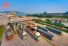 Doanh nghiệp Thanh Hóa vươn tầm thương hiệu