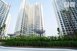 Hệ thống chăm sóc vườn treo bằng robot thông minh tại Lumière Boulevard