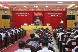 Hội nghị Ban Chấp hành Đảng bộ tỉnh lần thứ 31: Đánh giá tình hình 6 tháng đầu năm; nhiệm vụ trọng tâm 6 tháng cuối năm 2024
