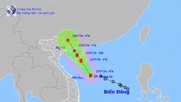 Áp thấp nhiệt đới đã mạnh lên thành bão số 2