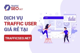 Có nên chọn dịch vụ traffic user giá rẻ tại TrafficSEO hay không?
