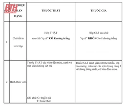 Ngừng kinh doanh, sử dụng thuốc Cefixim 200 giả