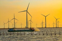 Singapore thành lập liên minh thị trường carbon