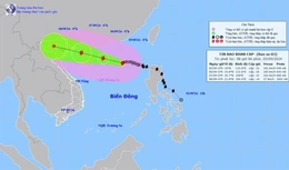 Công điện của Ban Thường vụ Tỉnh ủy về tăng cường lãnh đạo, chỉ đạo công tác ứng phó với bão số 3