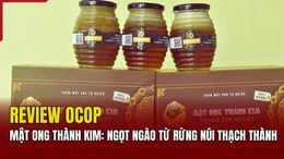 [REVIEW OCOP] Mật ong Thành Kim: Ngọt ngào từ rừng núi Thạch Thành