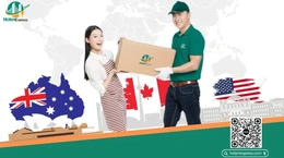 Top 5 công ty vận chuyển hàng đi Mỹ, Úc uy tín tại  TP  HCM