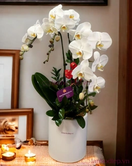 Gợi ý quà  tặng ngày 20/10  cho những người phụ nữ tôi yêu