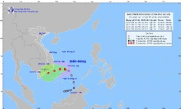 Các tỉnh từ Phú Yên đến Cà Mau chủ động ứng phó với bão số 10