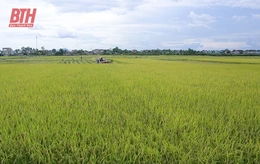 Nông nghiệp tăng trưởng ấn tượng