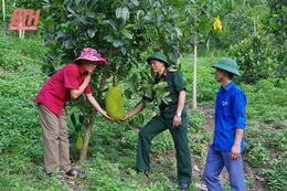 Lực lượng vũ trang tỉnh xây dựng mô hình sinh kế&nbsp;giúp người dân thoát nghèo