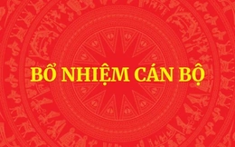 Thủ tướng bổ nhiệm ông Phạm Mạnh Cường giữ chức Phó Chủ nhiệm Văn phòng Chính phủ