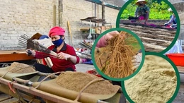 Từ đất rừng Như Xuân đến sản phẩm tâm linh truyền thống